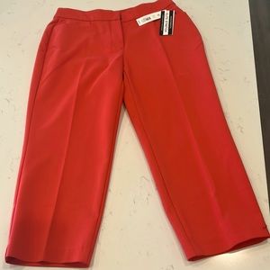 Investments petites. Elite stretch. Size 6P